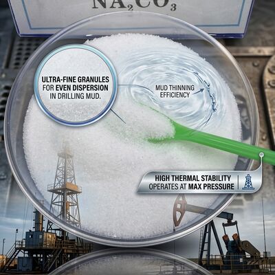 Sodium Hexametaphosphate 68% White Powder CAS 10124-56-8 Oil Drilling Mud Thinner Dispersant